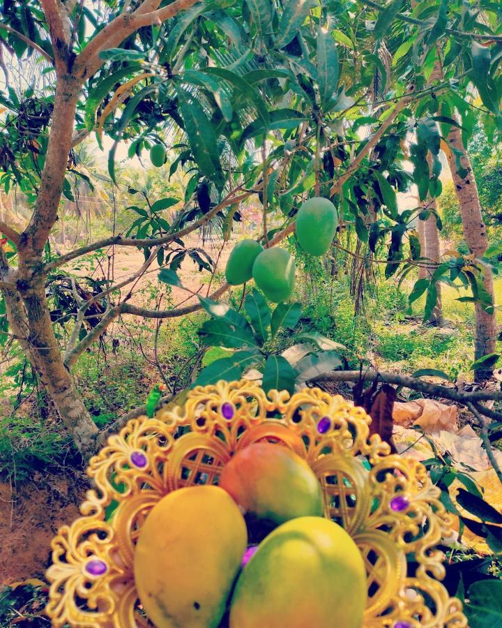 The Big Pineapple Estate Villa Udupi Luaran gambar