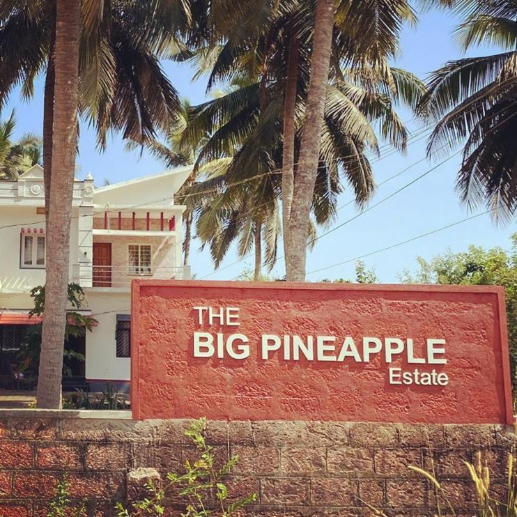 The Big Pineapple Estate Villa Udupi Luaran gambar